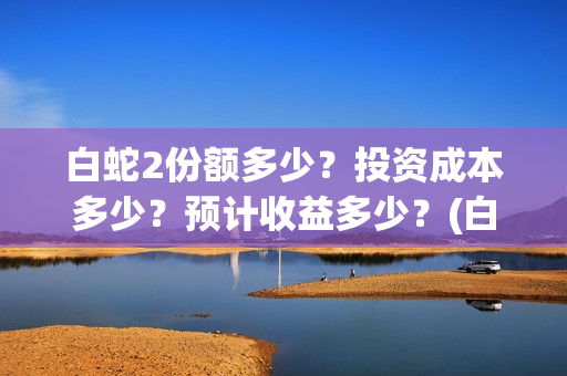 白蛇2份额多少？投资成本多少？预计收益多少？(白蛇2能收多少投资)