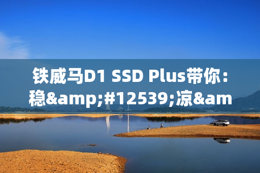 铁威马D1 SSD Plus带你：稳・凉・快