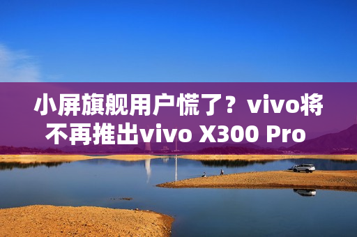 小屏旗舰用户慌了？vivo将不再推出vivo X300 Pro mini
