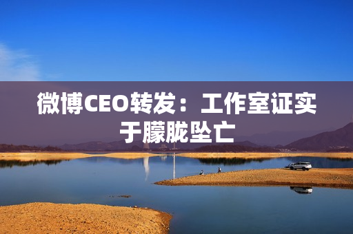 微博CEO转发：工作室证实于朦胧坠亡