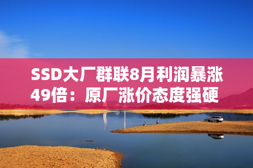 SSD大厂群联8月利润暴涨49倍：原厂涨价态度强硬 明年得缺货