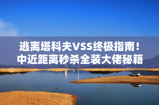 逃离塔科夫VSS终极指南！中近距离秒杀全装大佬秘籍