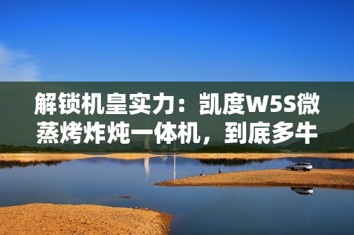 解锁机皇实力：凯度W5S微蒸烤炸炖一体机，到底多牛？