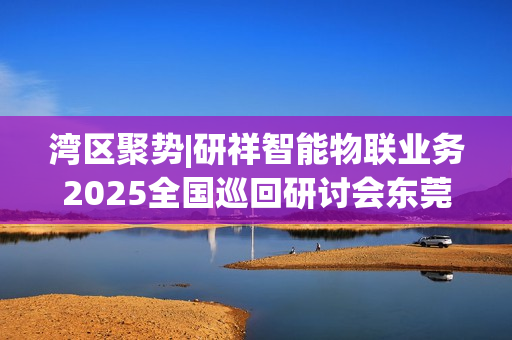 湾区聚势|研祥智能物联业务2025全国巡回研讨会东莞站圆满举办