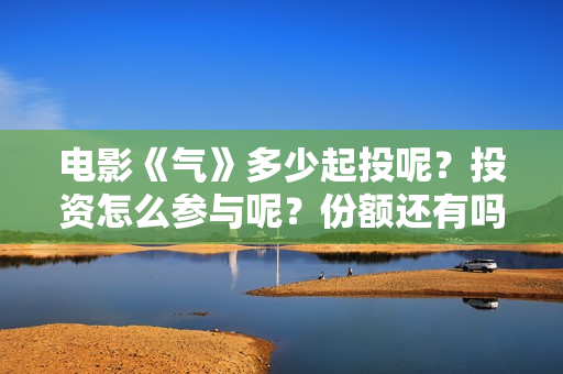 电影《气》多少起投呢？投资怎么参与呢？份额还有吗？