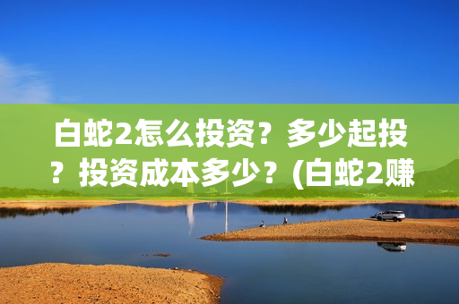 白蛇2怎么投资？多少起投？投资成本多少？(白蛇2赚钱了吗)