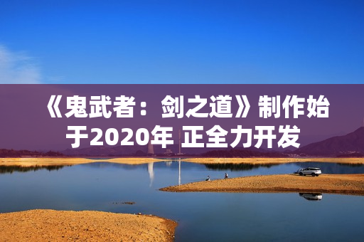 《鬼武者：剑之道》制作始于2020年 正全力开发