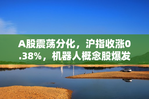 A股震荡分化，沪指收涨0.38%，机器人概念股爆发