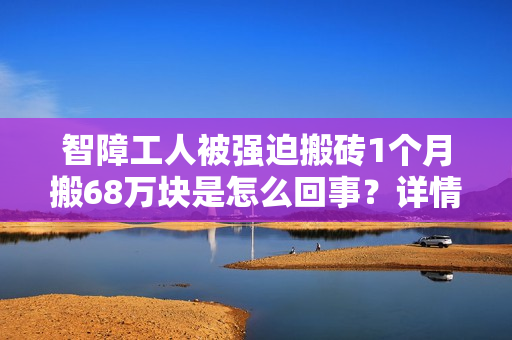 智障工人被强迫搬砖1个月搬68万块是怎么回事？详情介绍