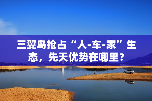 三翼鸟抢占“人-车-家”生态，先天优势在哪里？
