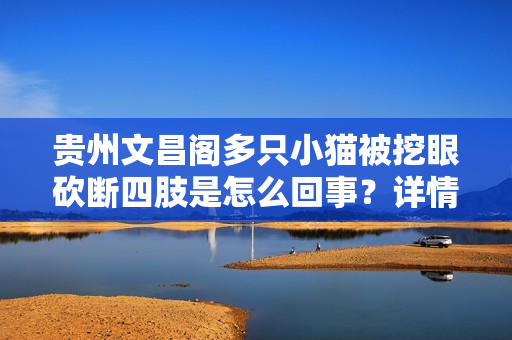 贵州文昌阁多只小猫被挖眼砍断四肢是怎么回事？详情介绍
