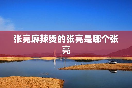 张亮麻辣烫的张亮是哪个张亮