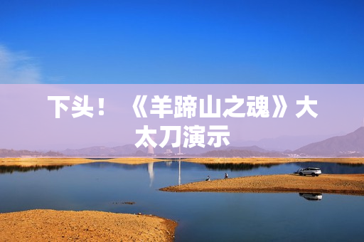 下头！ 《羊蹄山之魂》大太刀演示