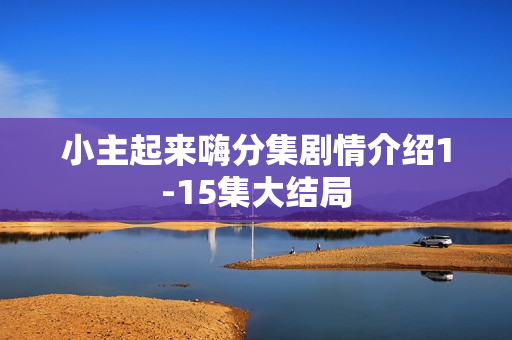 小主起来嗨分集剧情介绍1-15集大结局