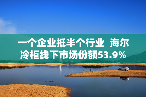 一个企业抵半个行业  海尔冷柜线下市场份额53.9%