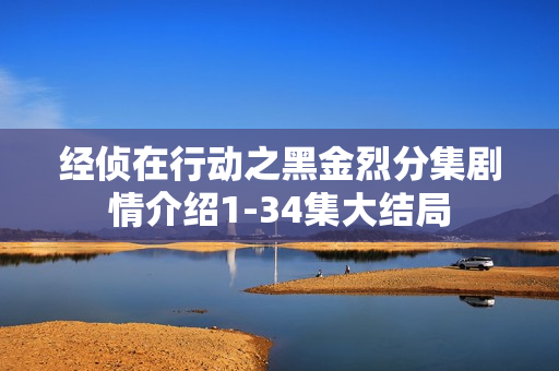 经侦在行动之黑金烈分集剧情介绍1-34集大结局