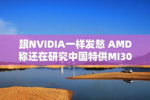 跟NVIDIA一样发愁 AMD称还在研究中国特供MI308显卡能否出售