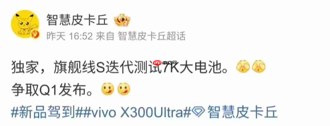 vivo X300s新机配置曝光！1.5K OLED大直屏+2亿像素大底主摄