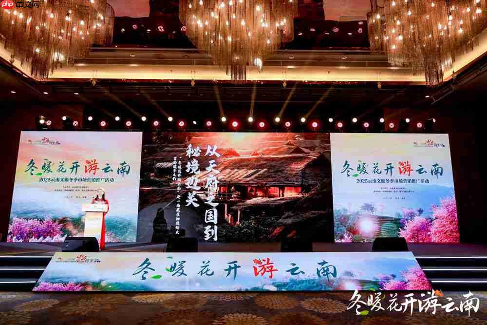 冬暖花开游云南  文旅联动谱新篇