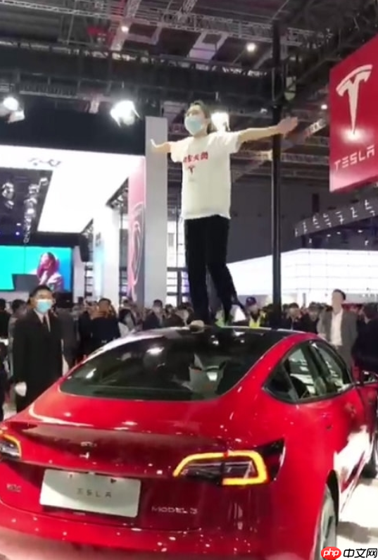 特斯拉“车顶维权”女车主回应被限制高消费：名誉权案件已向法院申请再审