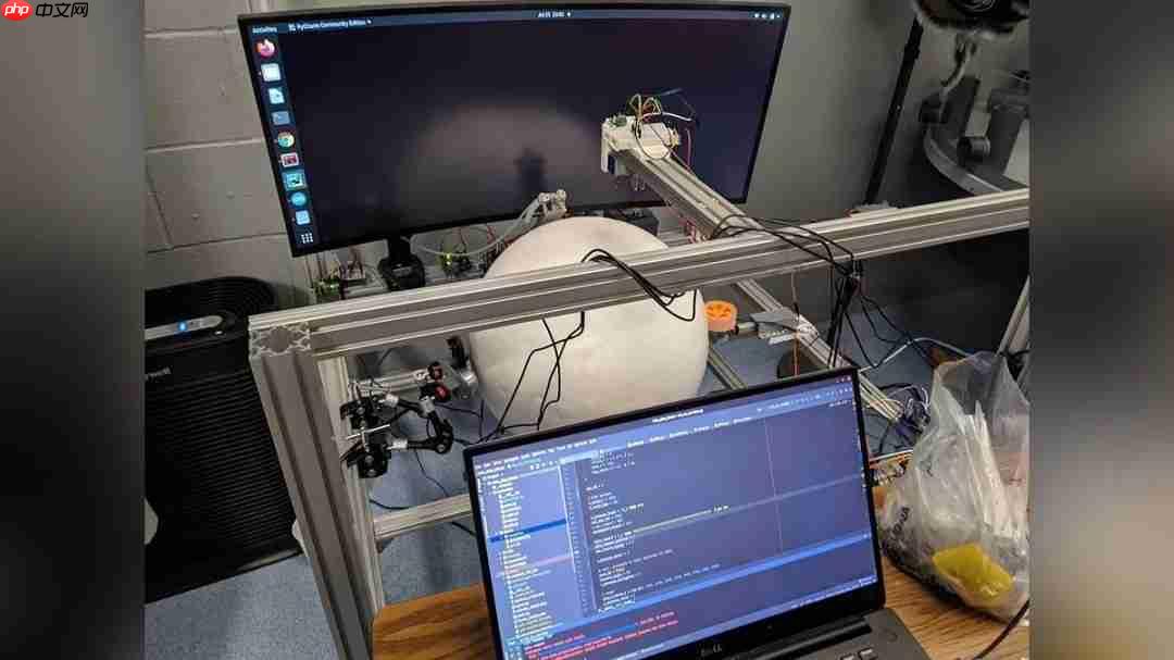 鼠鼠也是会玩电子游戏了！ 工程师用VR设备教会大鼠游玩《毁灭战士》