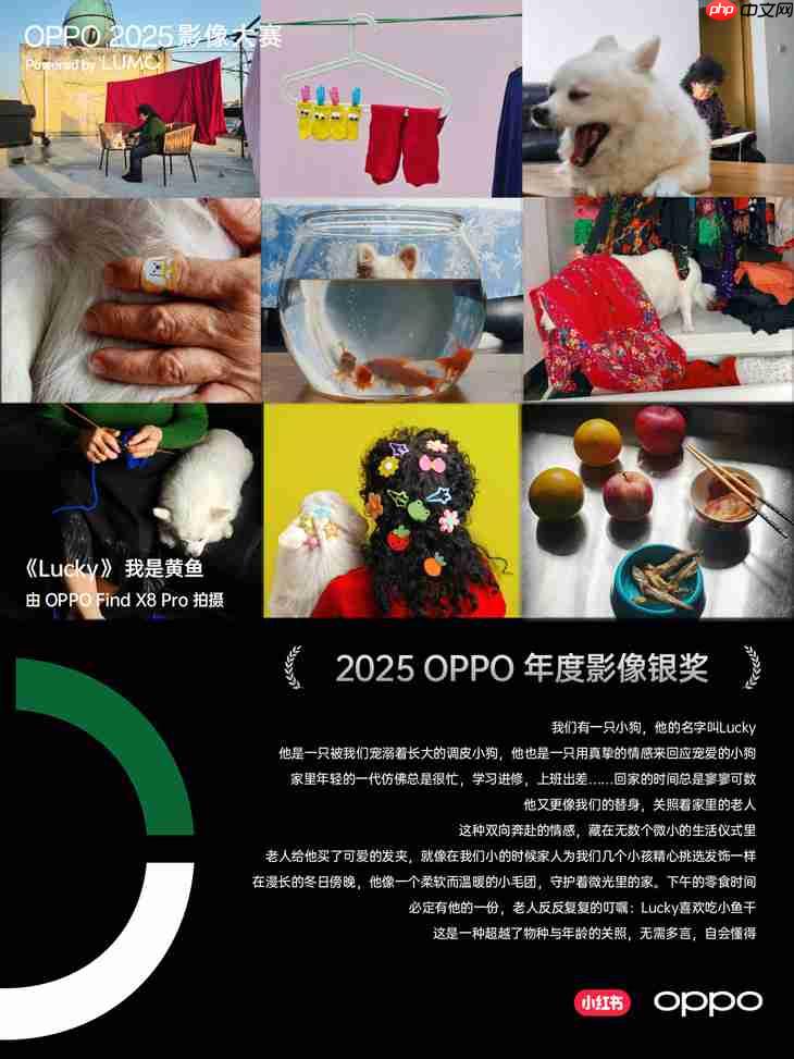 点亮感动时刻  OPPO 2025影像大赛获奖作品正式公布
