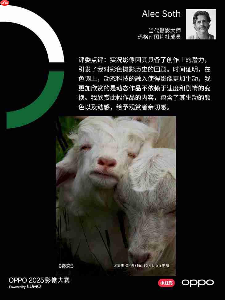 点亮感动时刻  OPPO 2025影像大赛获奖作品正式公布