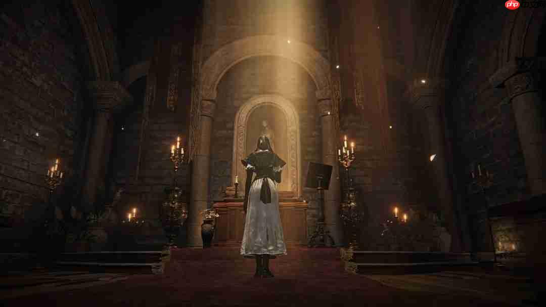翘臀修女爱舔墙！《艾尔登法环：黑夜君临》修女全皮肤舔墙合集