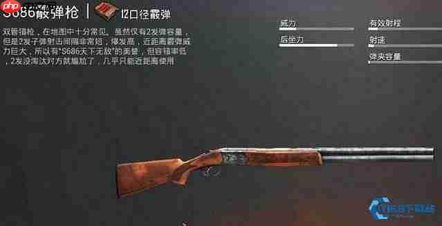  霰弹枪近战制霸全攻略：从训练场到实战的终极掌控