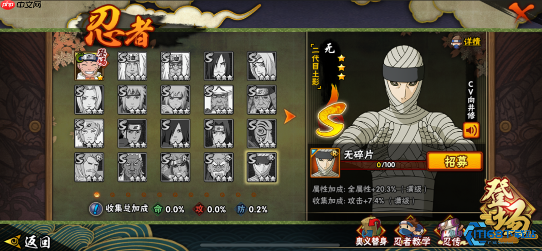 风主核爆队终极攻略：高连击爆发阵容打造秘籍