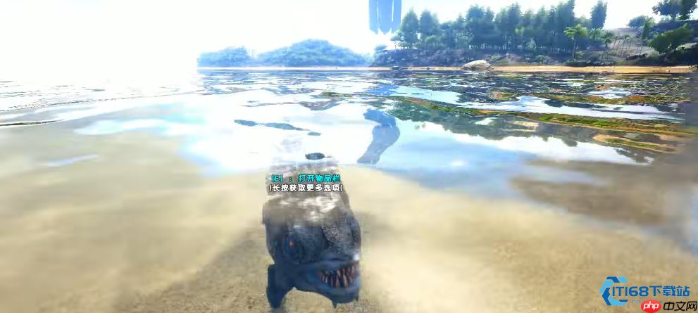 水域生存指南：应对食人鱼的全面攻略