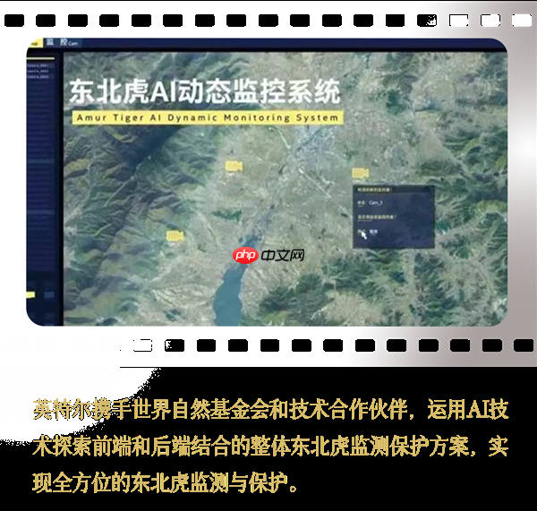 Intel中国整整40年了！揭开你不熟悉的另一面