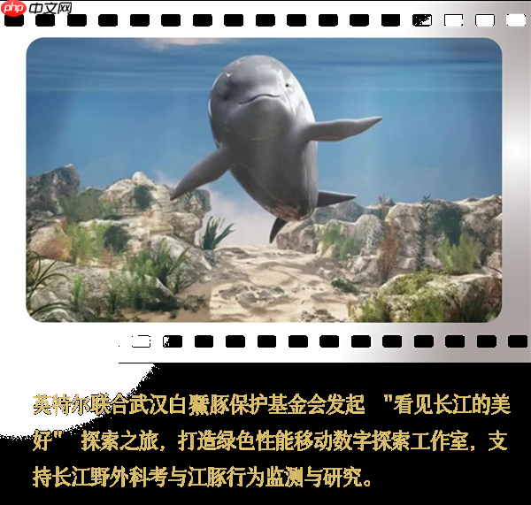 Intel中国整整40年了！揭开你不熟悉的另一面