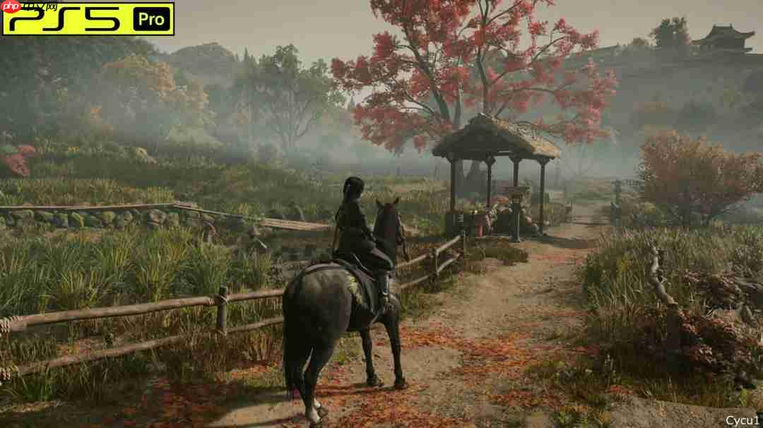 《刺客信条：影》PS5 Pro和Switch 2画面对比