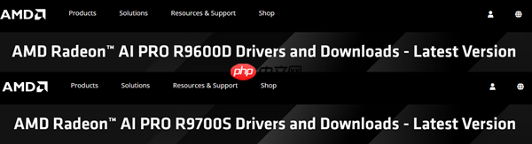 AMD RDNA 4显卡还有新品！Radeon AI PRO R9700S、R9600D已现身