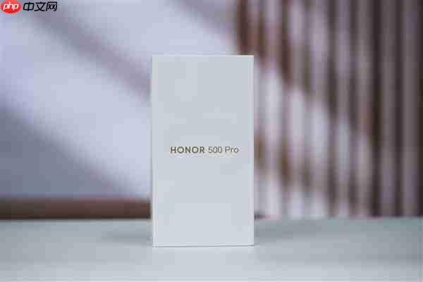 同档最强2亿像素AI主摄！荣耀500 Pro图赏