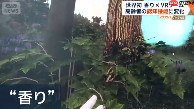 日本科学家新研究 香气配合VR游戏可延缓老年认知衰减