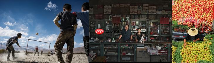 生态摄影趋势品类成交量同比增长超5倍 11.11京东影像大赛驱动品牌增长