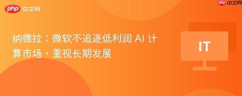 纳德拉：微软不追逐低利润 AI 计算市场，重视长期发展