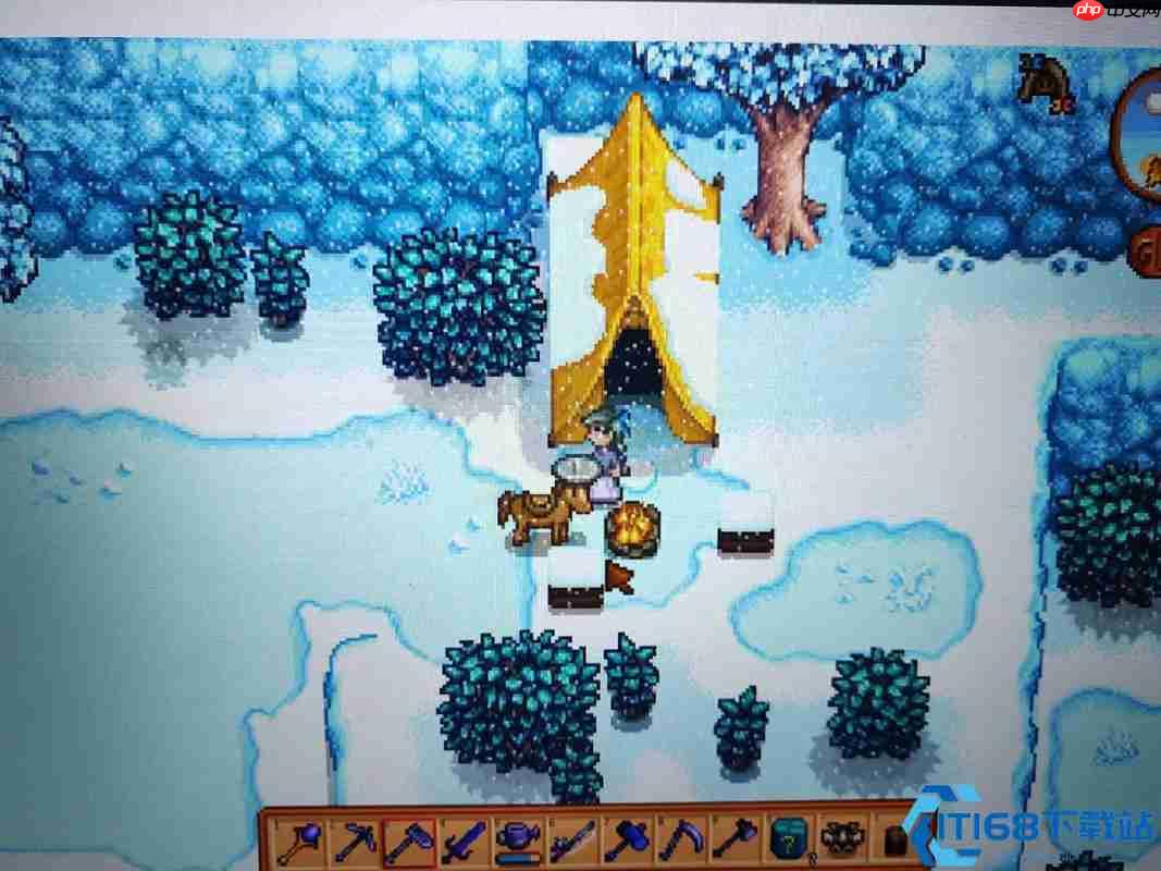 星露谷物语莱纳斯角色全解析 自由哲学家的生活智慧