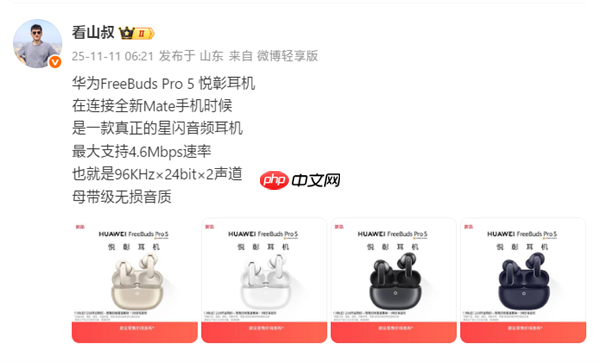 华为FreeBuds Pro 5获星闪L2HC编解码认证！支持4.6Mbps无损音质