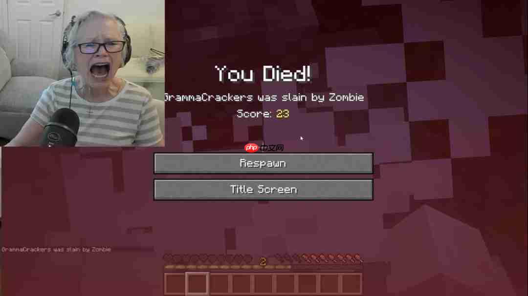 《我的世界》直播老奶奶爆火 游戏中狂怒附体观众惊叹