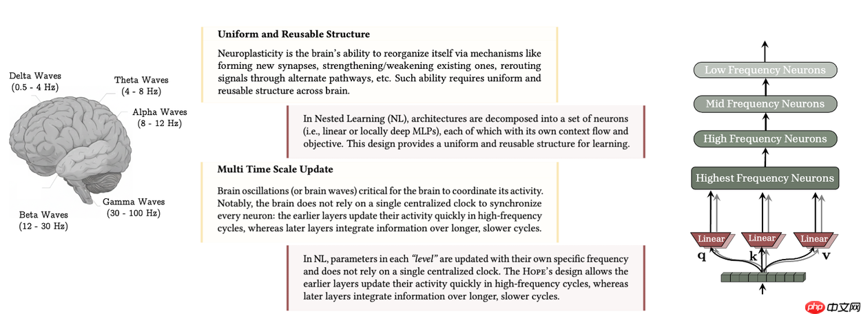 谷歌提出嵌套学习（Nested Learning）架构， 解决“灾难性遗忘”问题
