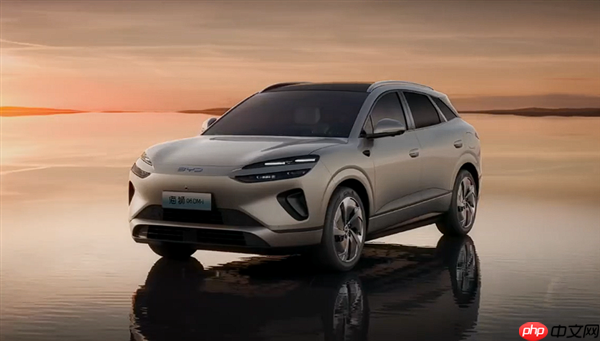 接棒宋PLUS DM-i 比亚迪海狮06上市百天下线10万辆！