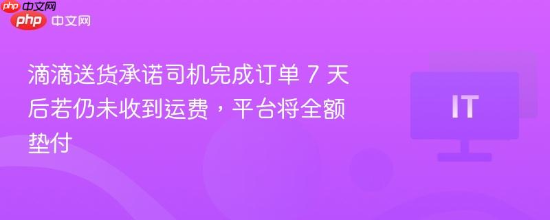 滴滴送货承诺司机完成订单 7 天后若仍未收到运费，平台将全额垫付