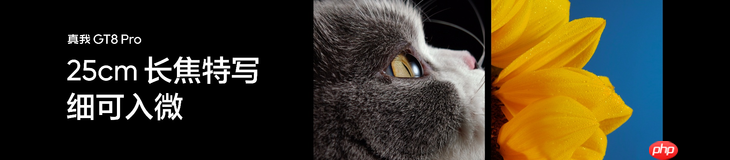搭载理光GR影像系统，“街拍神器”真我GT8 Pro正式发布，3999元起