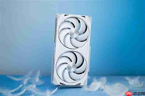 《逃离鸭科夫》耕升GeForce RTX 5060 踏雪 OC鸭式搜打撤