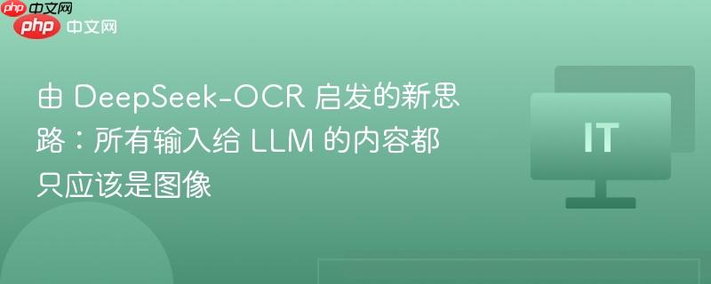 由 DeepSeek-OCR 启发的新思路：所有输入给 LLM 的内容都只应该是图像