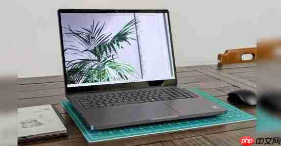 NVIDIA次旗舰专业显卡首测:搭配128GB CAMM2内存