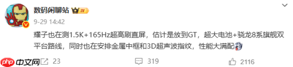 荣耀GT 2系列配置曝光：9000mAh电池+165Hz直屏